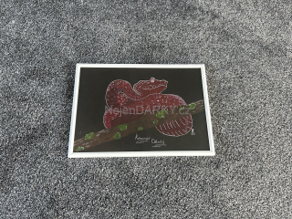 Obraz - Křovinář ostnitý - pastel/fix